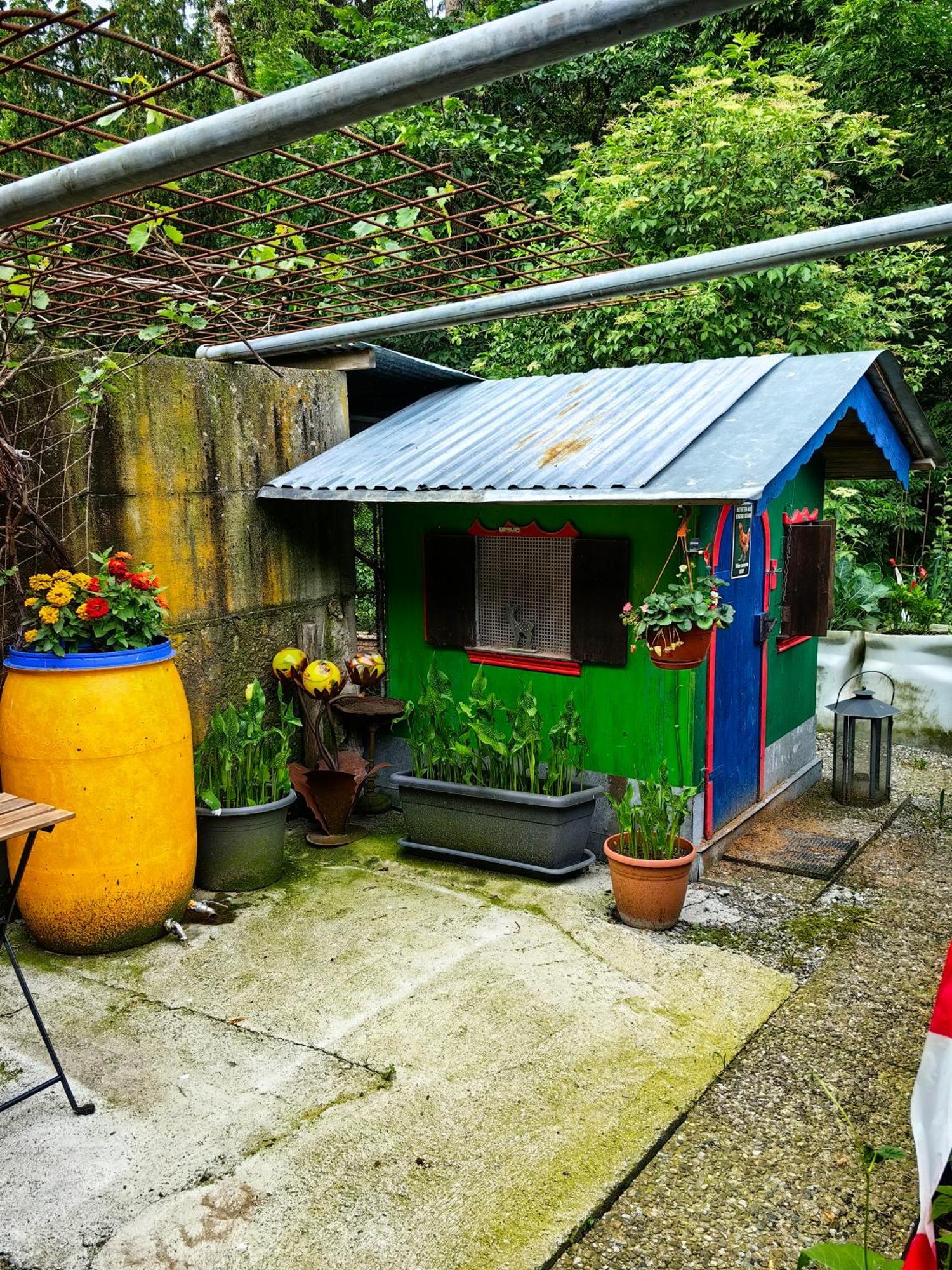 Apartamento Voegelhof Doren Exterior foto