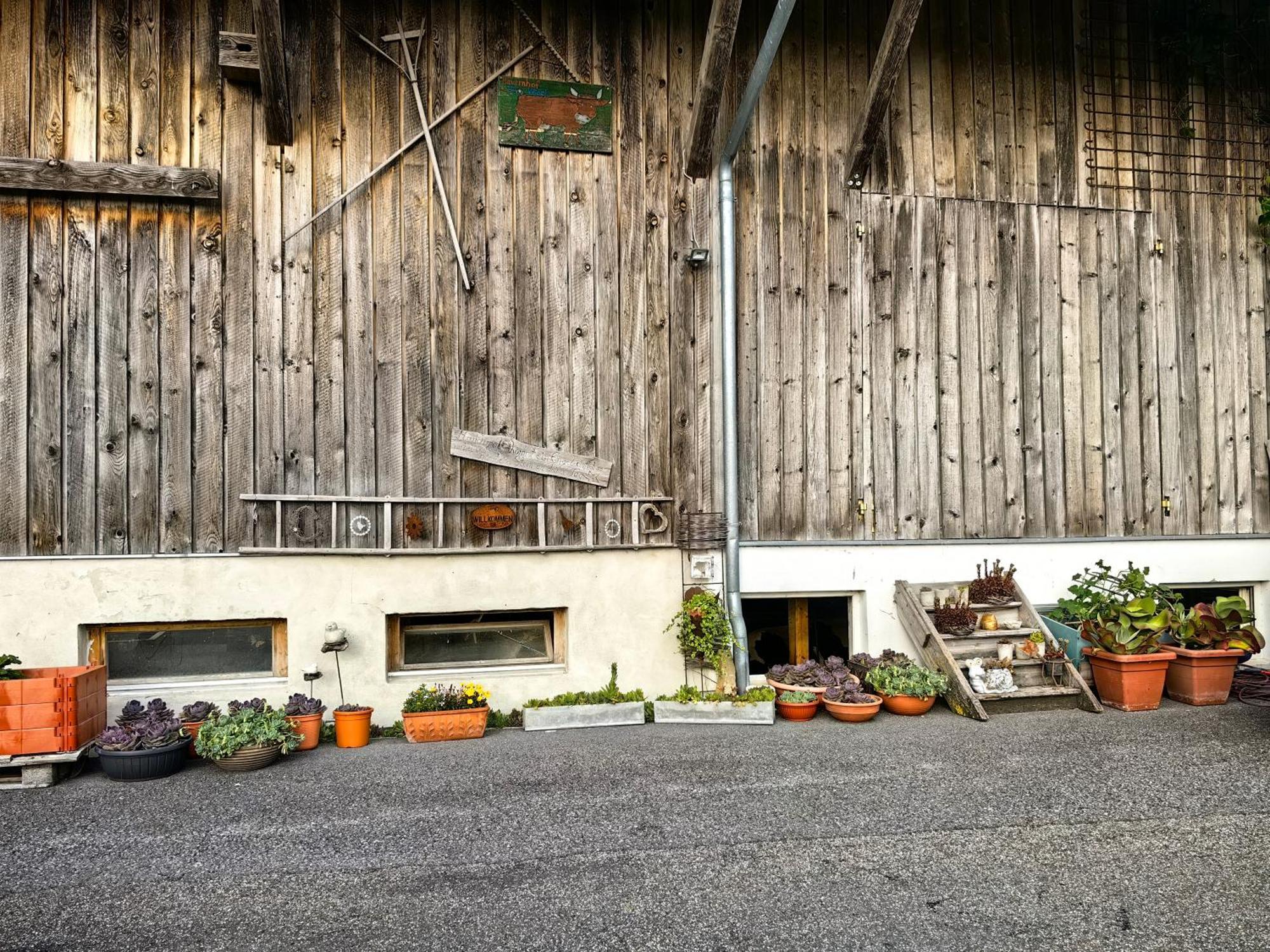 Apartamento Voegelhof Doren Exterior foto